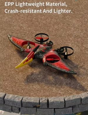 Dragon Remote Controlled Aeroplan L0713